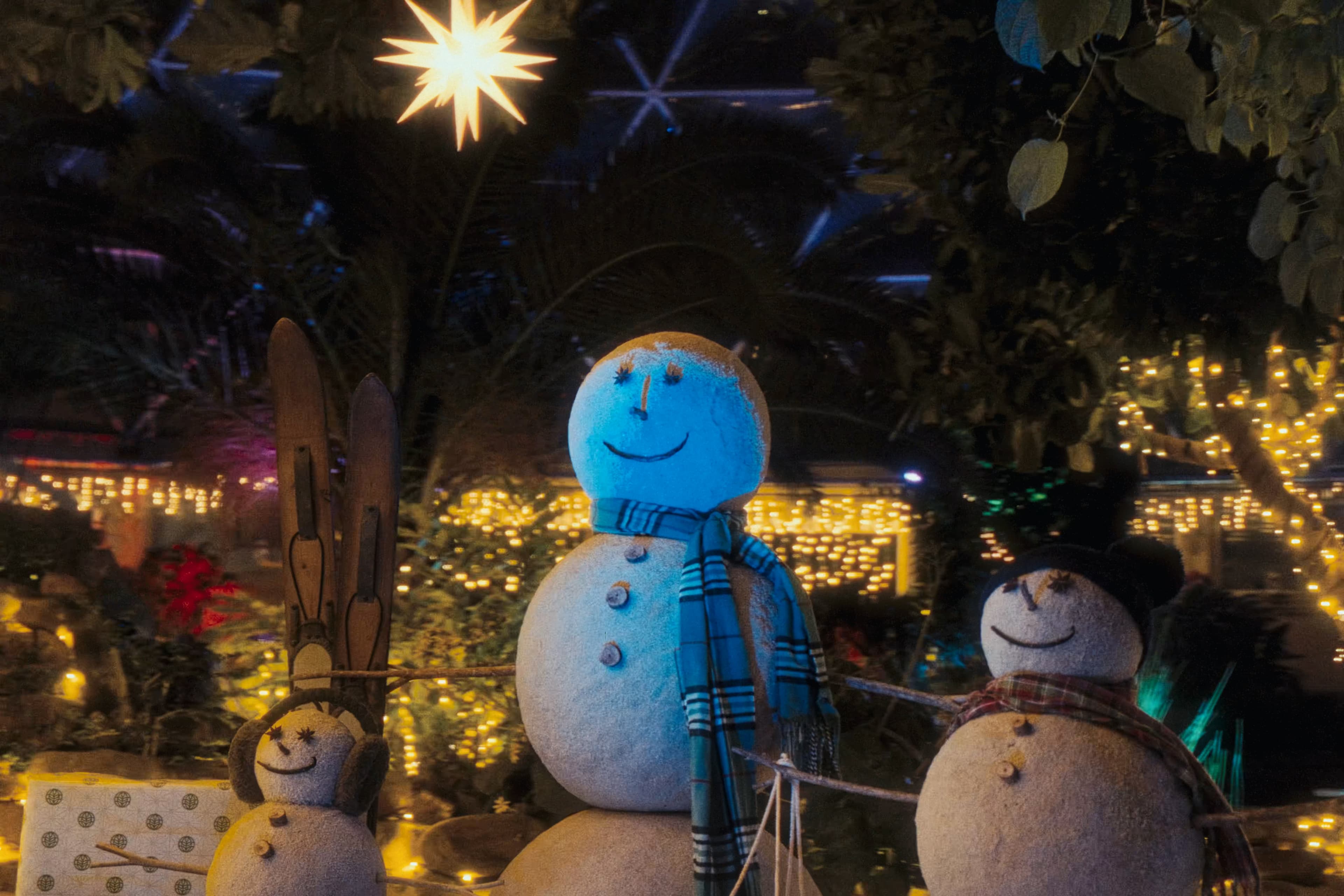 A Christmas at Disney