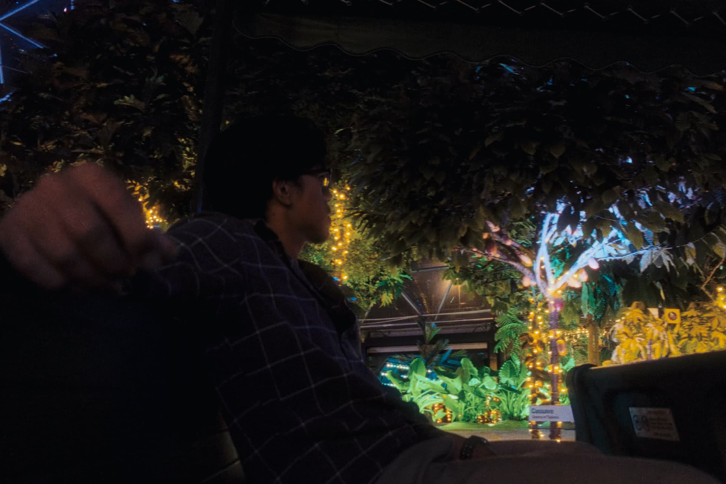 Andrew Amisola in A Christmas at Disney — Andrew seated under a canopy with holiday lights and greenery.