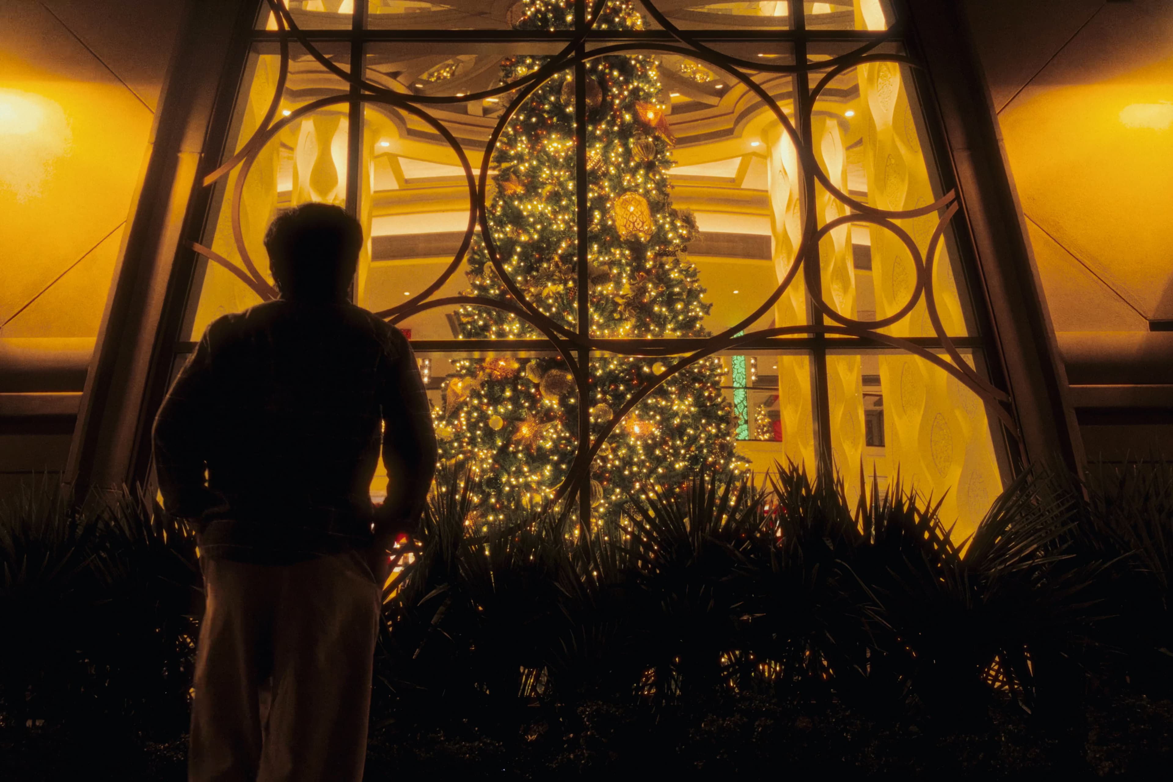 A person stands before a large Christmas tree seen through glowing windows.