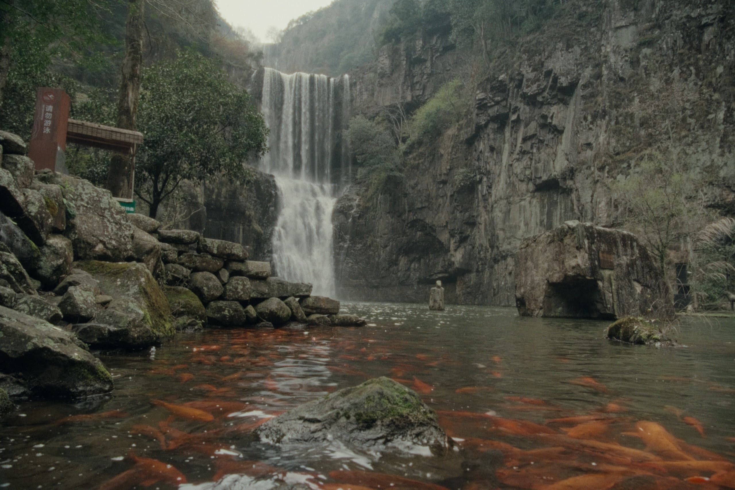 A waterfall cascading into a pool teeming with orange koi fish, surrounded by rocky cliffs and green vegetation.