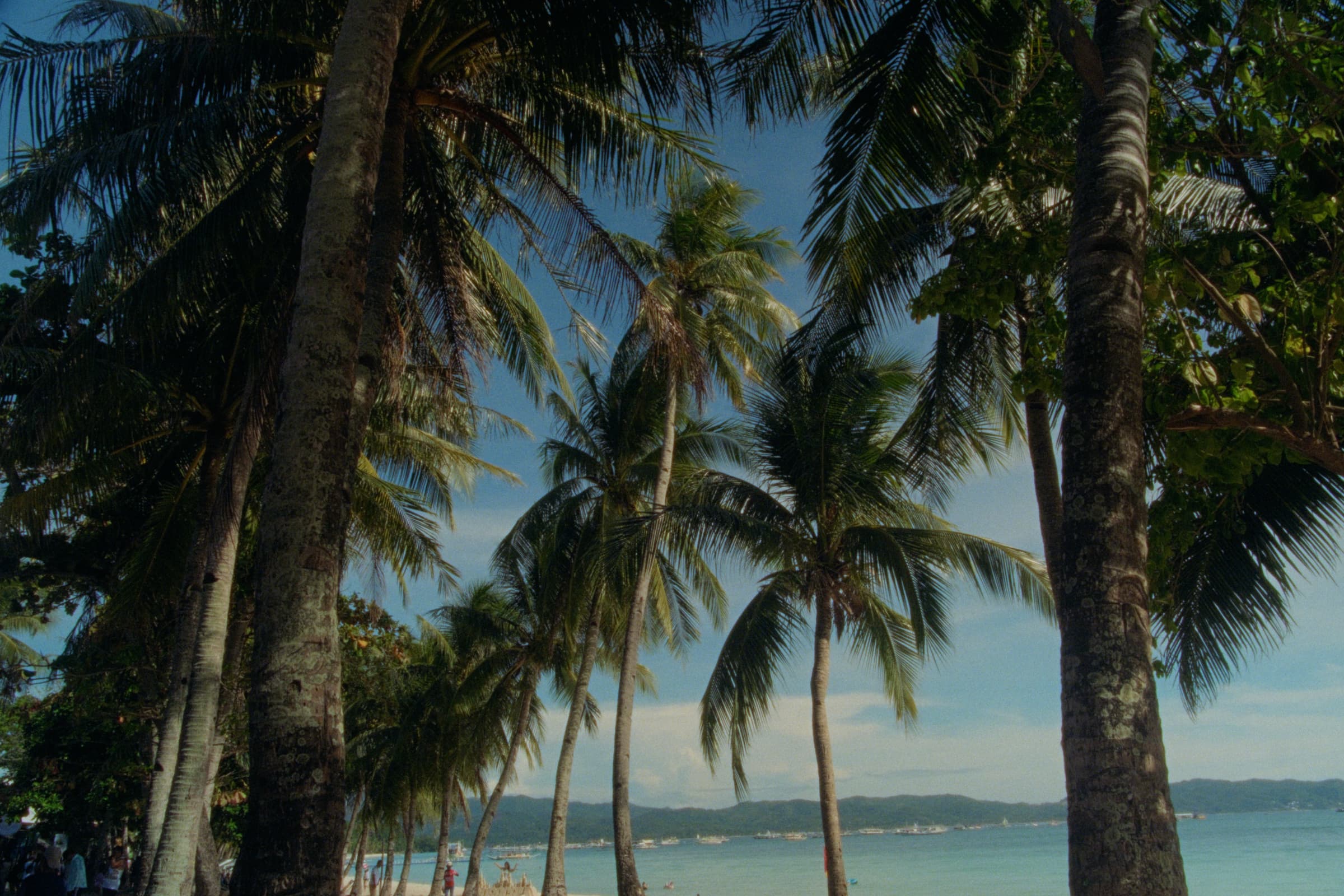 Tall coconut palms tilting across a Boracay beach with figures and the turquoise sea visible between the trunks.