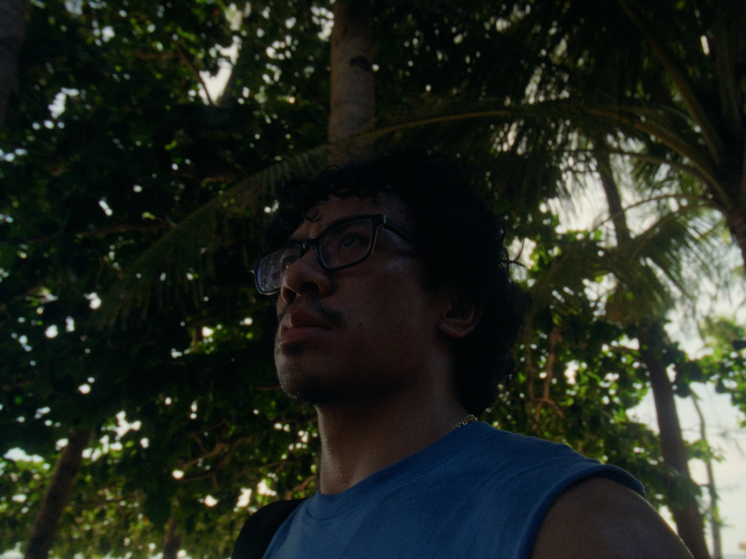 Andrew Amisola in White Sands in Boracay — Low-angle close-up of Andrew looking up through a canopy of palm fronds, glasses catching the light.