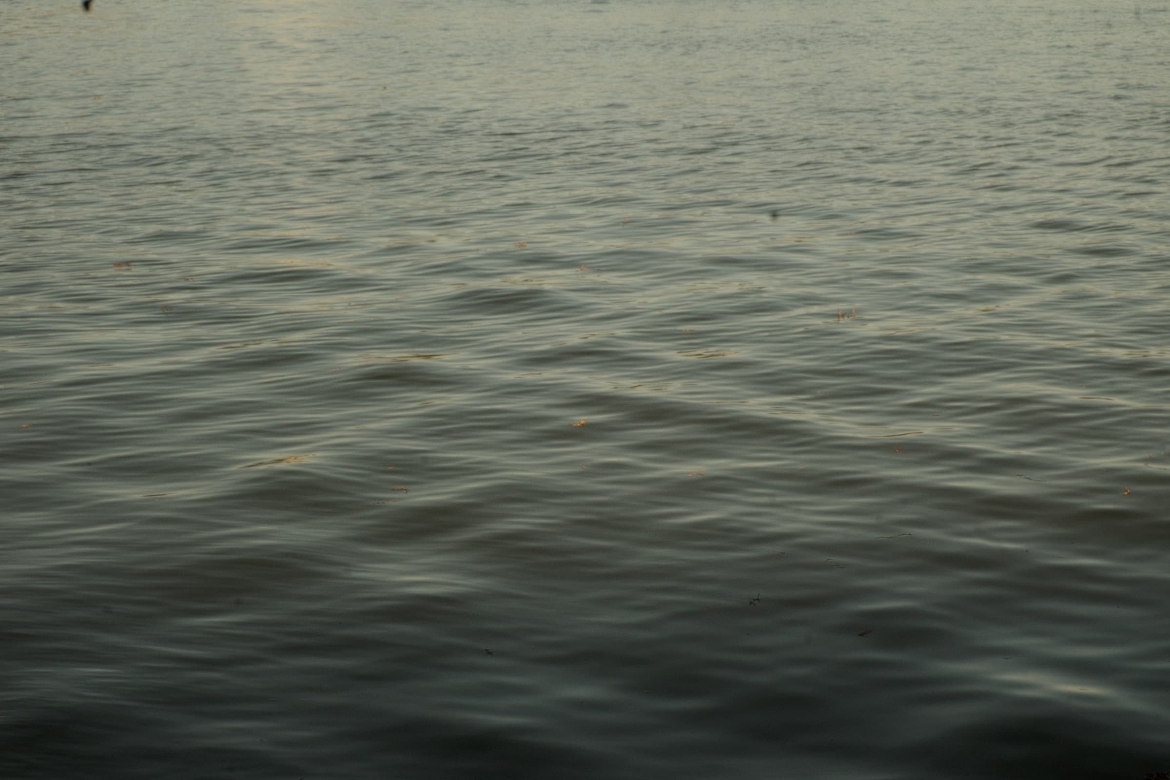 By the Long Island Sound