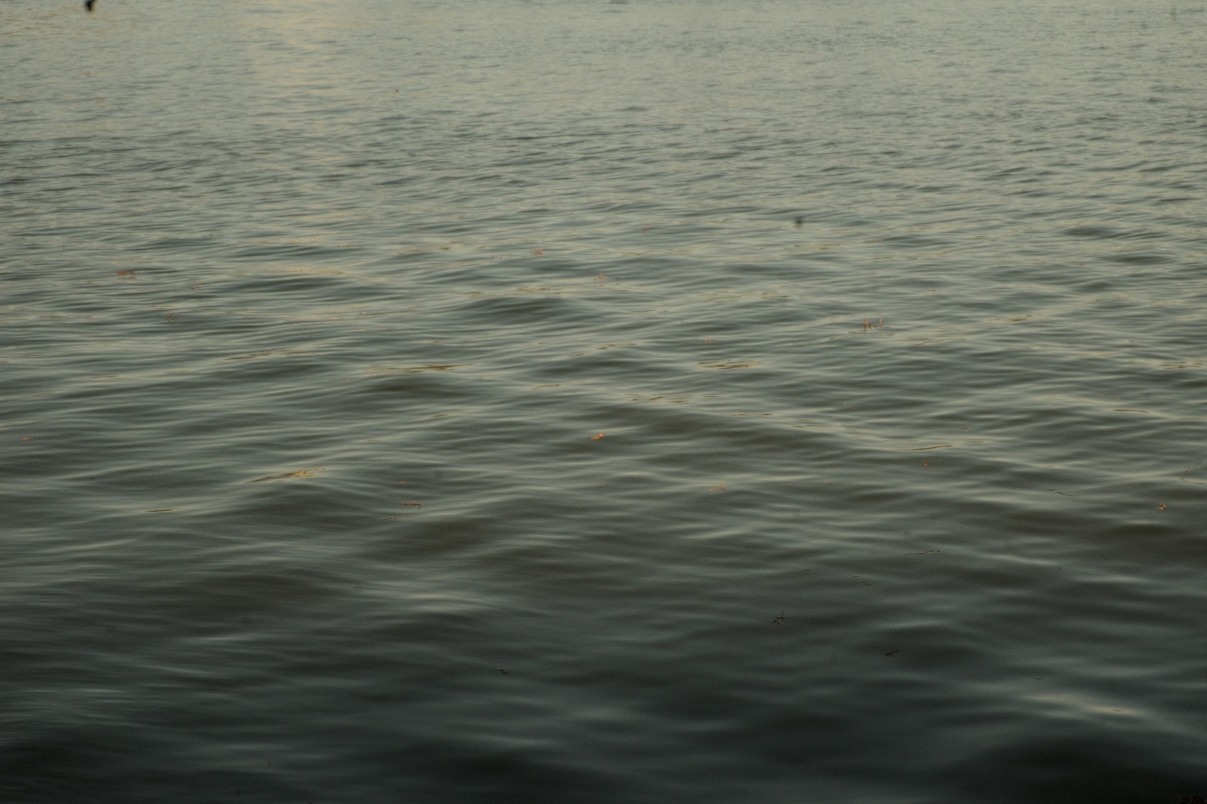 By the Long Island Sound cover